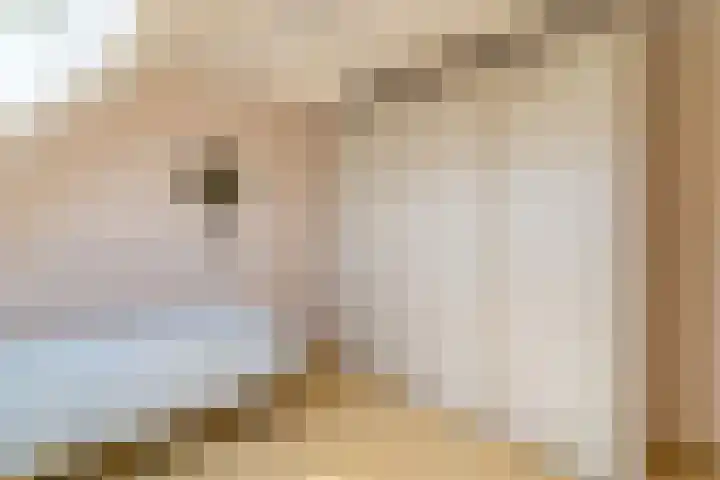 Nijverheidsweg 125 a Nunspeet thumbnail 22