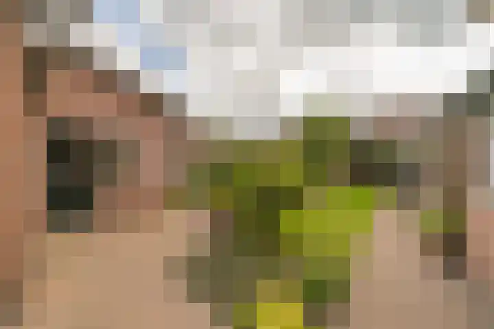 Nijverheidsweg 125 a Nunspeet thumbnail 28