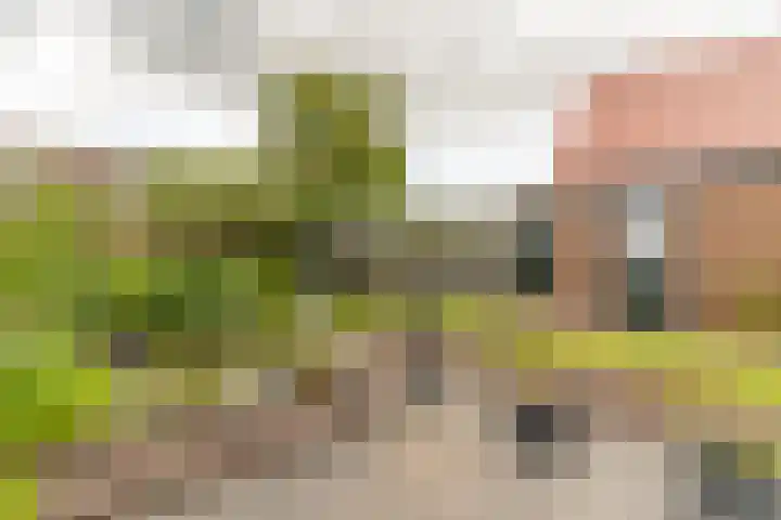 Nijverheidsweg 125 a Nunspeet thumbnail 30