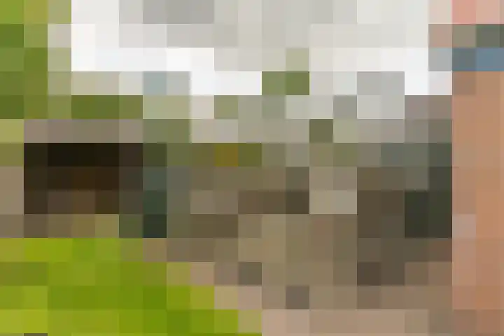 Nijverheidsweg 125 a Nunspeet thumbnail 31