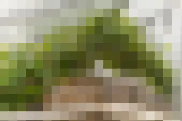 Nijverheidsweg 125 a Nunspeet thumbnail 32
