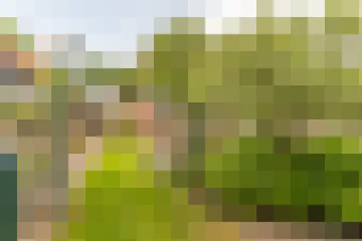 Nijverheidsweg 125 a Nunspeet thumbnail 35