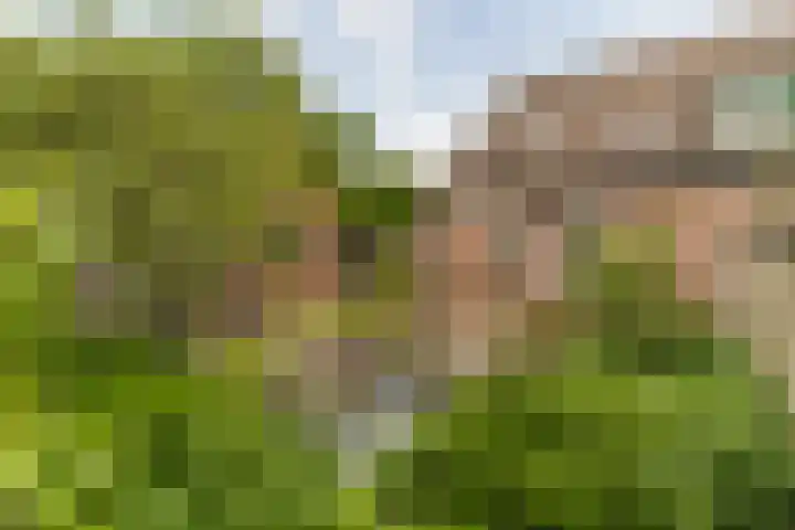 Nijverheidsweg 125 a Nunspeet thumbnail 36