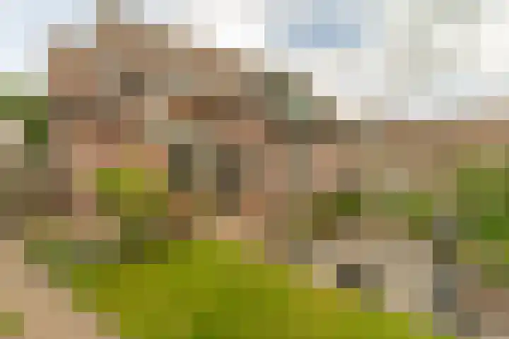 Nijverheidsweg 125 a Nunspeet thumbnail 37