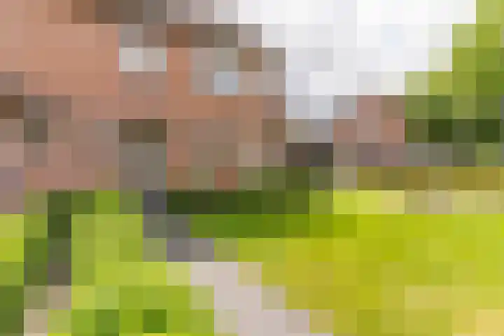 Nijverheidsweg 125 a Nunspeet thumbnail 4