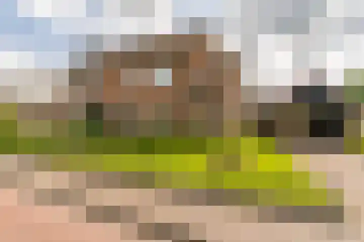 Nijverheidsweg 125 a Nunspeet thumbnail 40