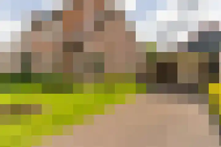 Nijverheidsweg 125 a Nunspeet thumbnail 5
