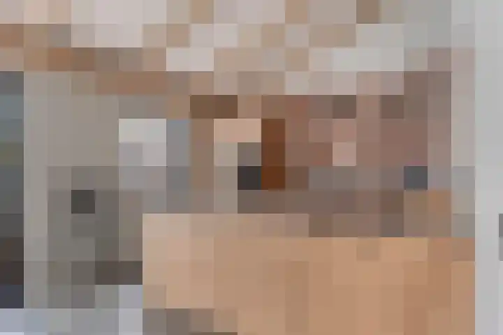 Nijverheidsweg 125 b Nunspeet thumbnail 25