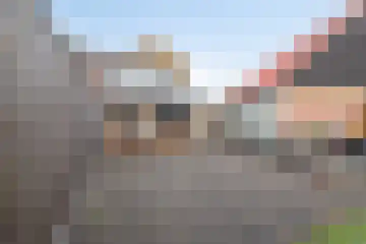 Nijverheidsweg 125 b Nunspeet thumbnail 42