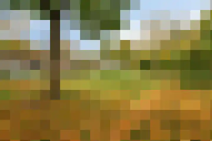 Nijverheidsweg 125 b Nunspeet thumbnail 49