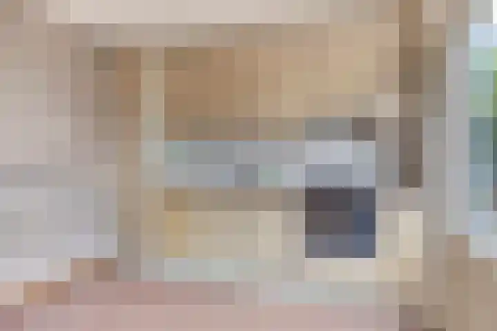 Nijverheidsweg 129 Nunspeet thumbnail 15