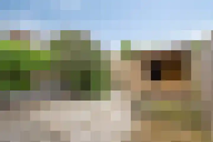 Nijverheidsweg 129 Nunspeet thumbnail 28