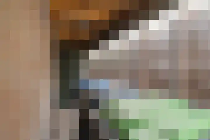 Nijverheidsweg 129 Nunspeet thumbnail 31