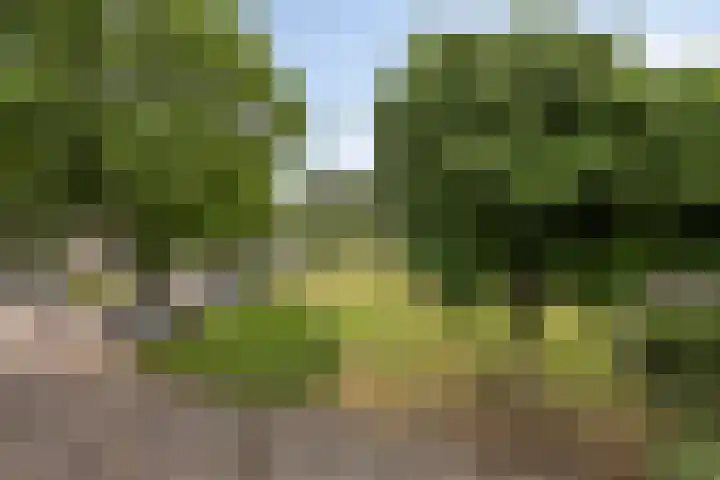 Nijverheidsweg 129 Nunspeet thumbnail 33