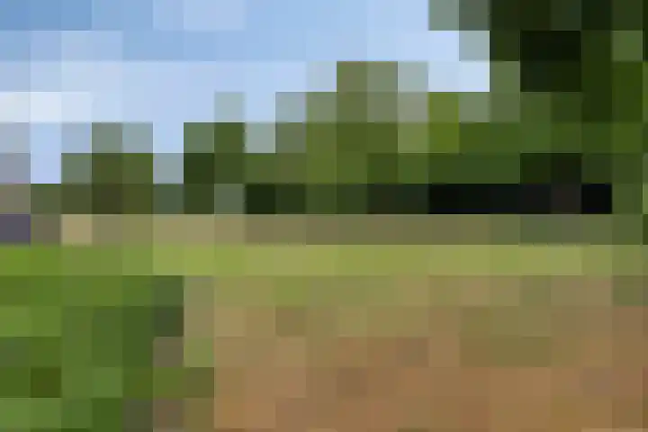 Nijverheidsweg 129 Nunspeet thumbnail 34