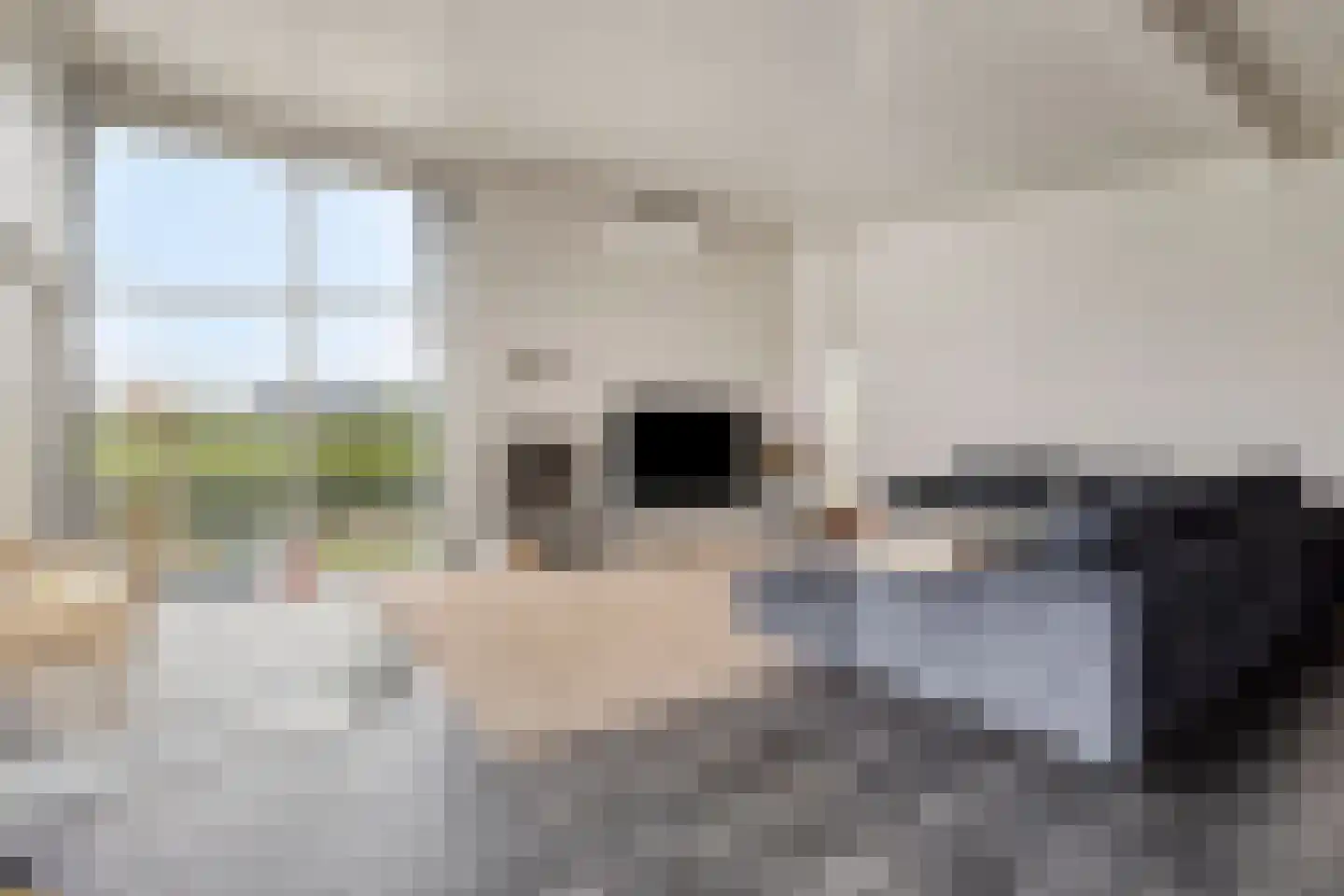 Nijverheidsweg 14 Assen thumbnail 10