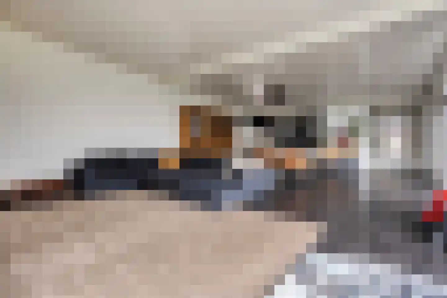Nijverheidsweg 14 Assen thumbnail 11