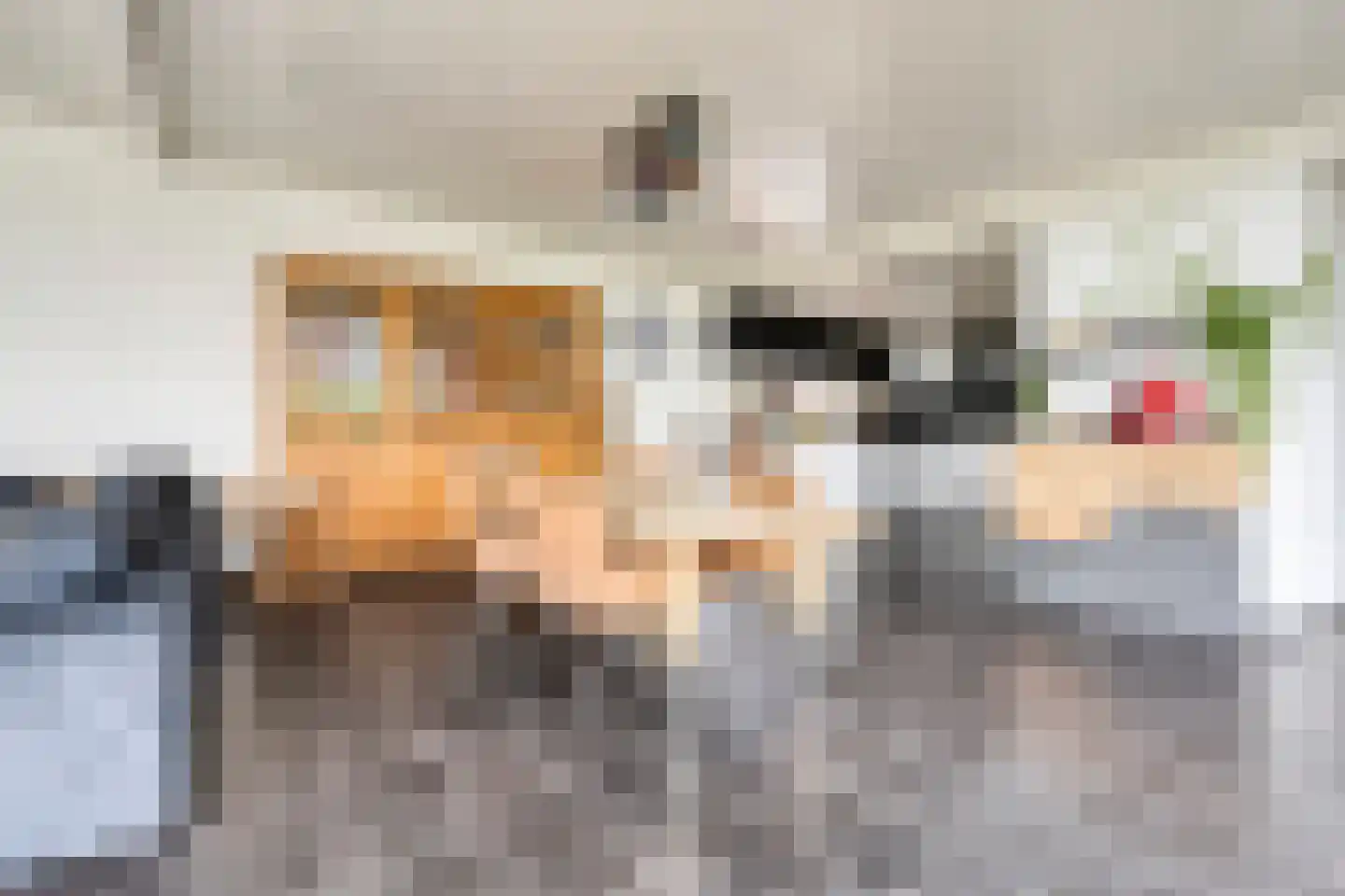 Nijverheidsweg 14 Assen thumbnail 12