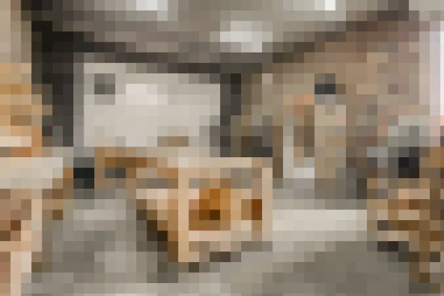 Nijverheidsweg 14 Assen thumbnail 47