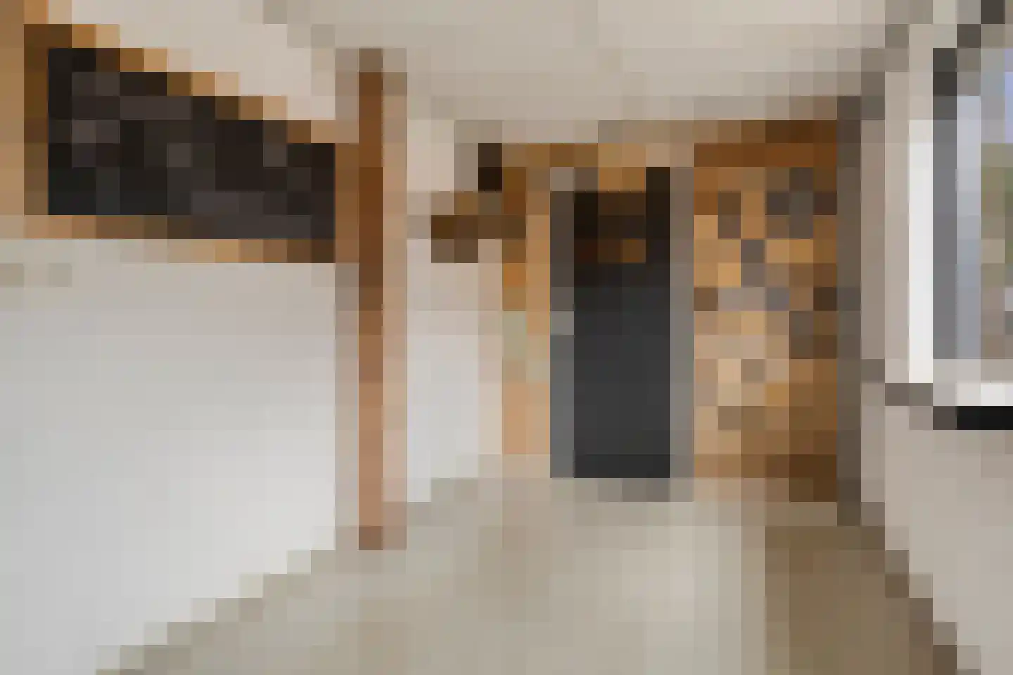 Nijverheidsweg 14 Assen thumbnail 49