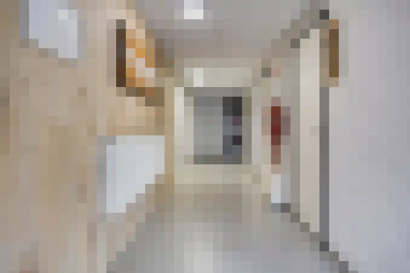 Nijverheidsweg 14 Assen thumbnail 50