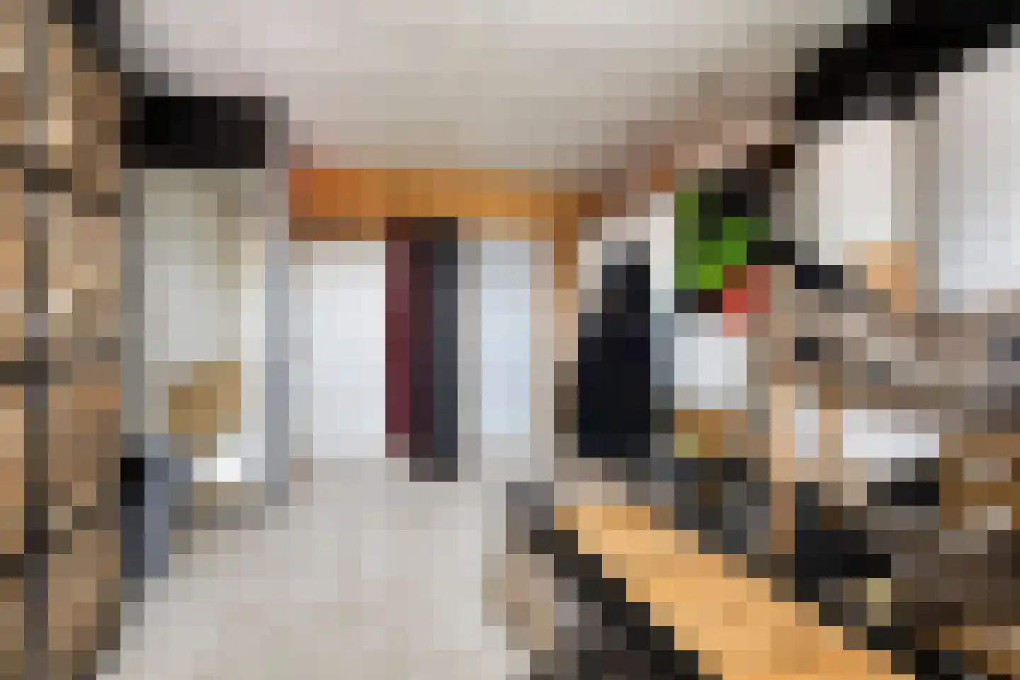 Nijverheidsweg 14 Assen thumbnail 61