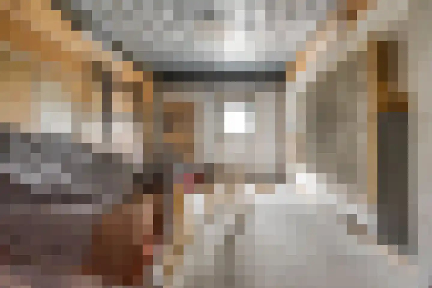 Nijverheidsweg 14 Assen thumbnail 63