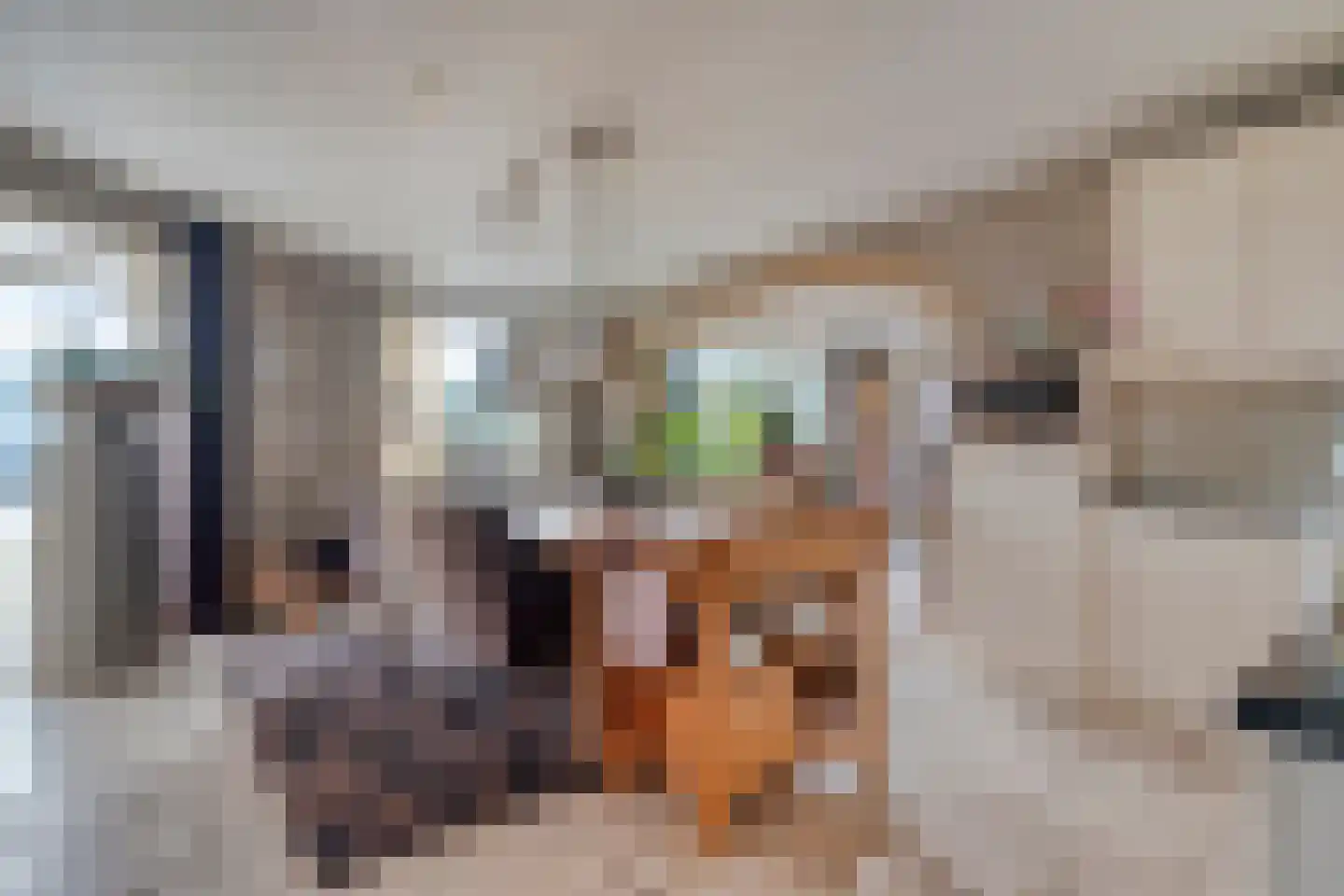 Nijverheidsweg 14 Oudenbosch thumbnail 10