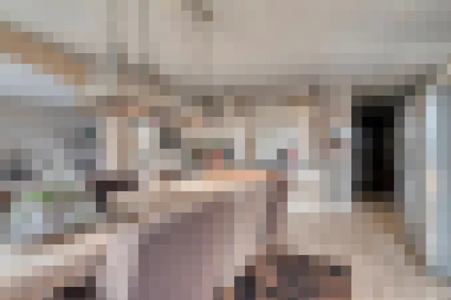 Nijverheidsweg 14 Oudenbosch thumbnail 11