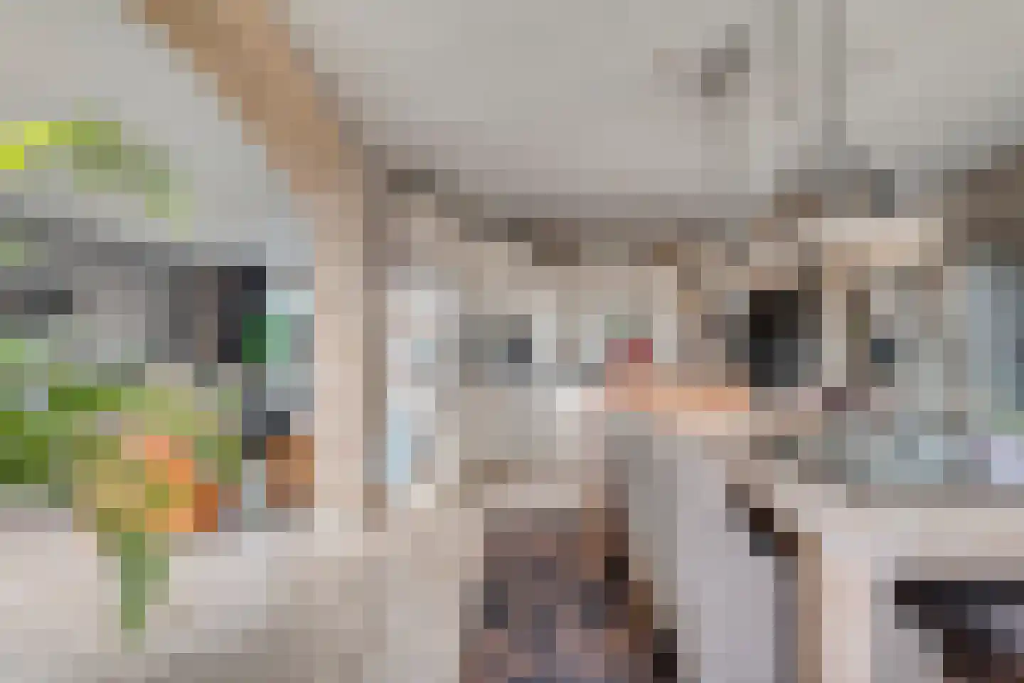 Nijverheidsweg 14 Oudenbosch thumbnail 12