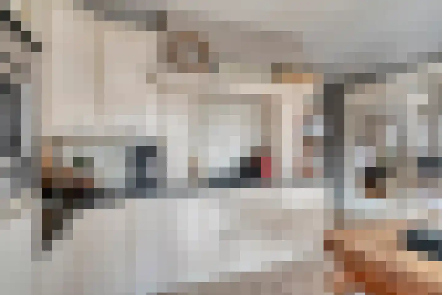 Nijverheidsweg 14 Oudenbosch thumbnail 13