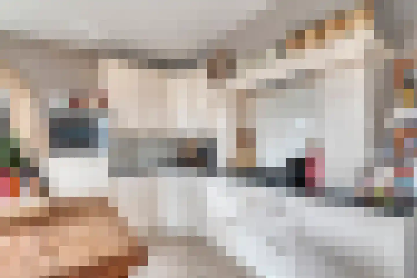 Nijverheidsweg 14 Oudenbosch thumbnail 14