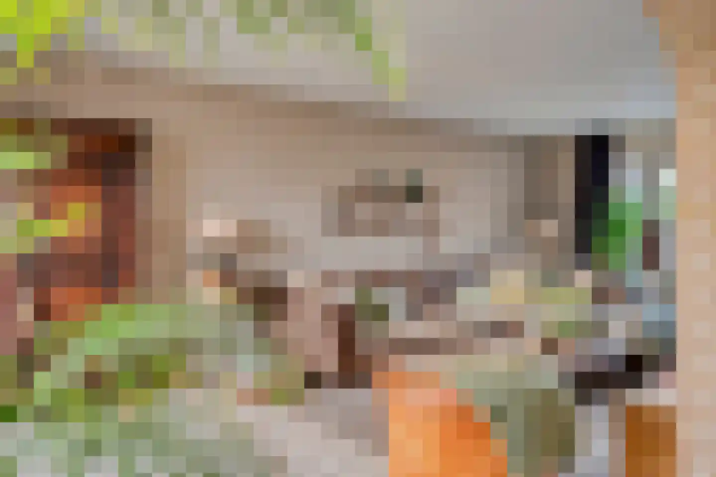 Nijverheidsweg 14 Oudenbosch thumbnail 16