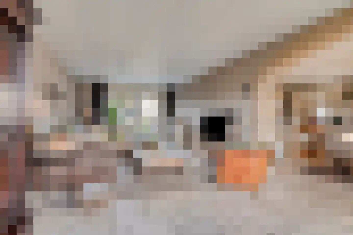 Nijverheidsweg 14 Oudenbosch thumbnail 17