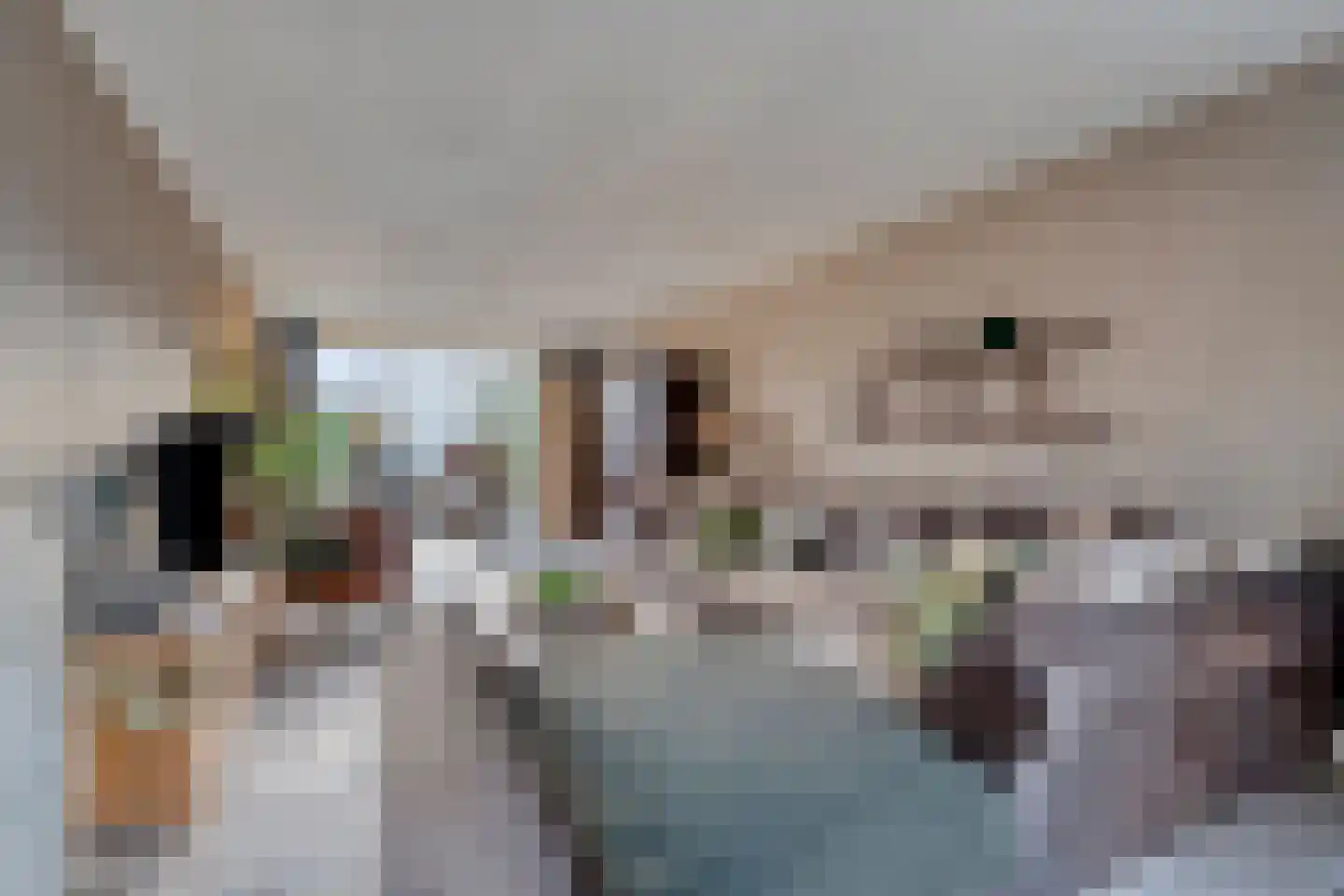Nijverheidsweg 14 Oudenbosch thumbnail 19