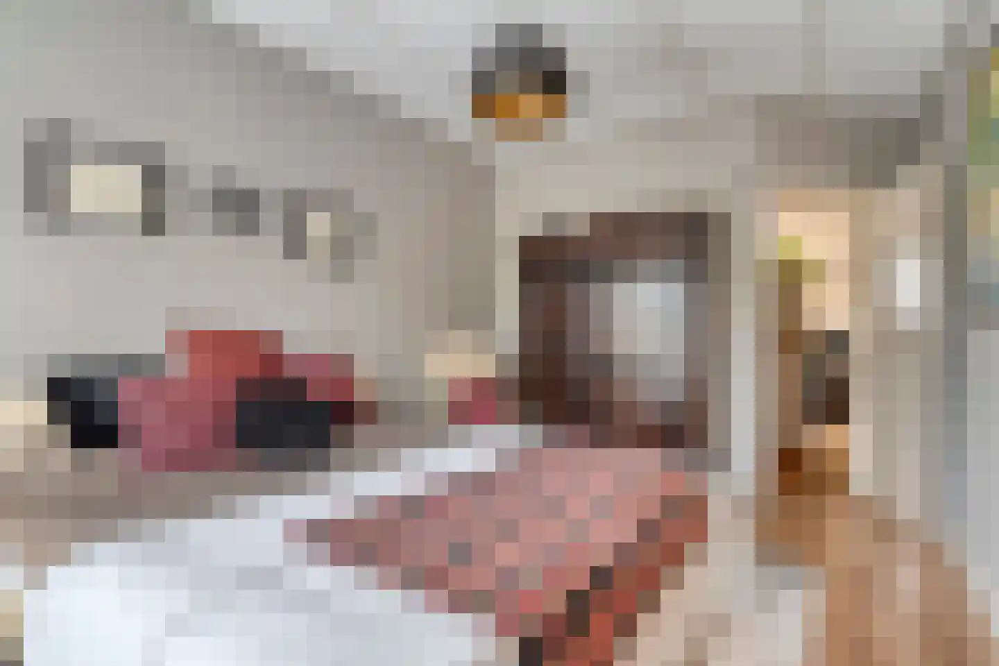 Nijverheidsweg 14 Oudenbosch thumbnail 29