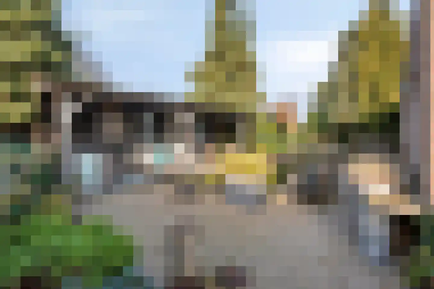 Nijverheidsweg 14 Oudenbosch foto 3