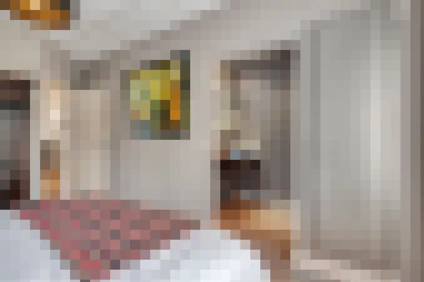 Nijverheidsweg 14 Oudenbosch thumbnail 30