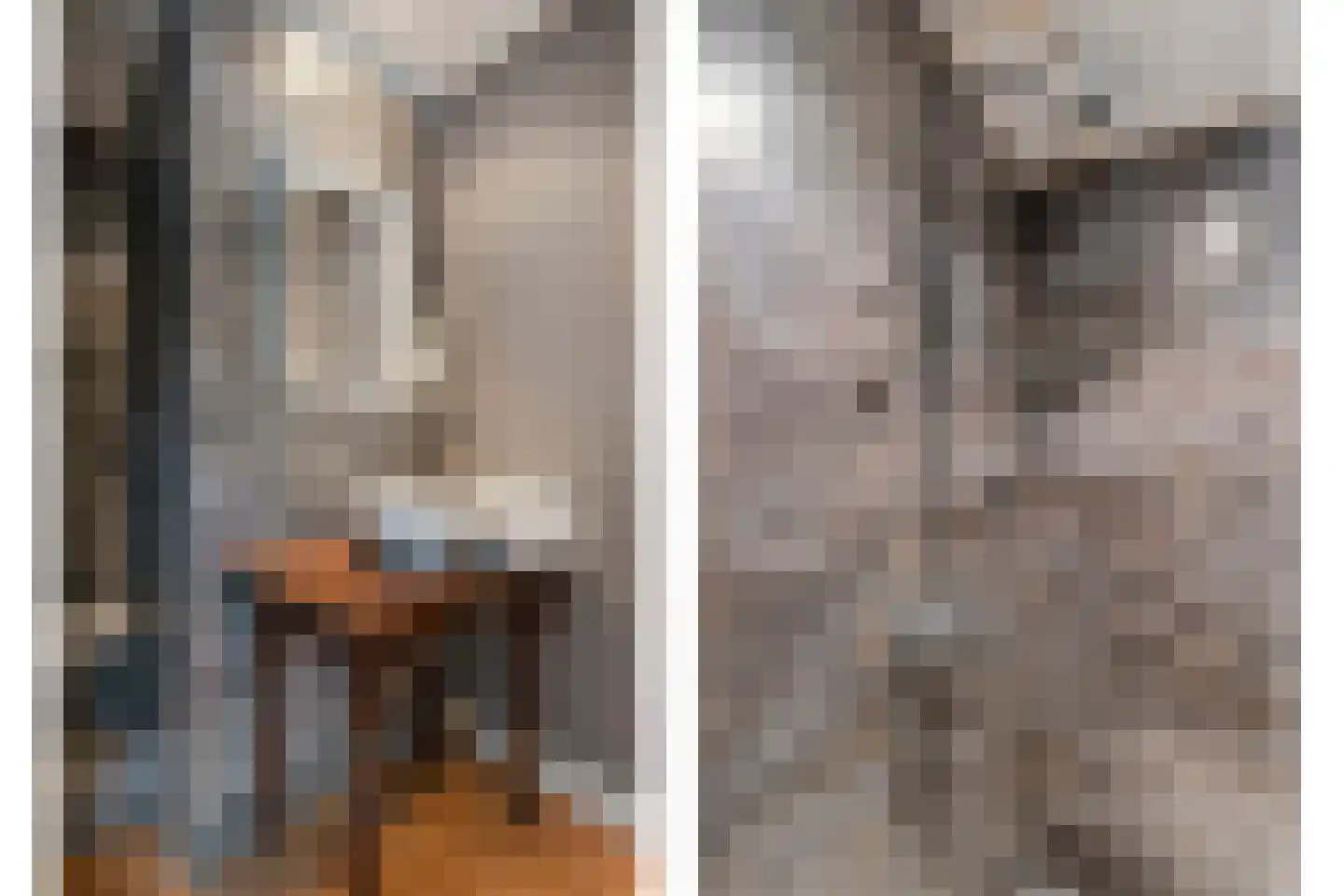 Nijverheidsweg 14 Oudenbosch thumbnail 31