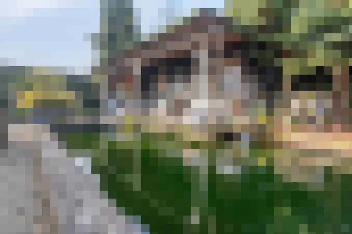 Nijverheidsweg 14 Oudenbosch thumbnail 38