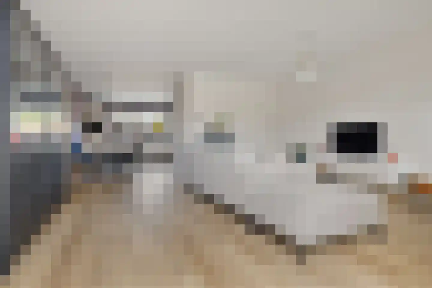Nijverheidsweg 17 a Woudenberg thumbnail 10