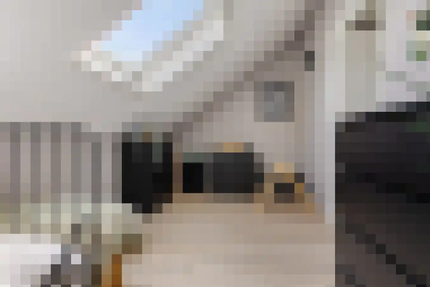 Nijverheidsweg 17 a Woudenberg thumbnail 36