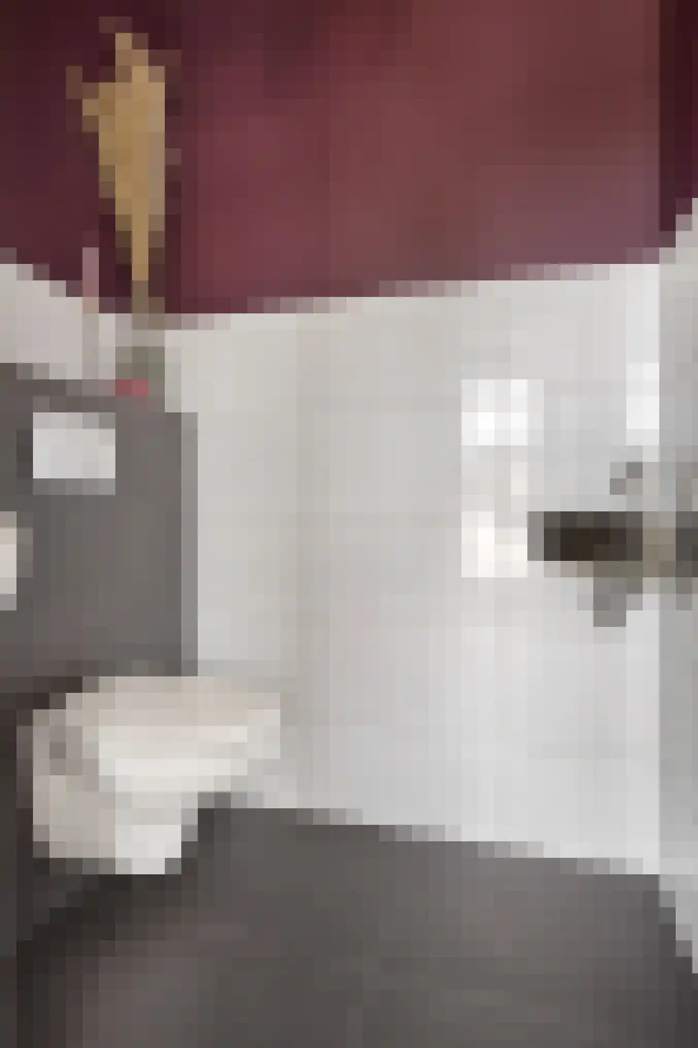 Nijverheidsweg 17 a Woudenberg thumbnail 8