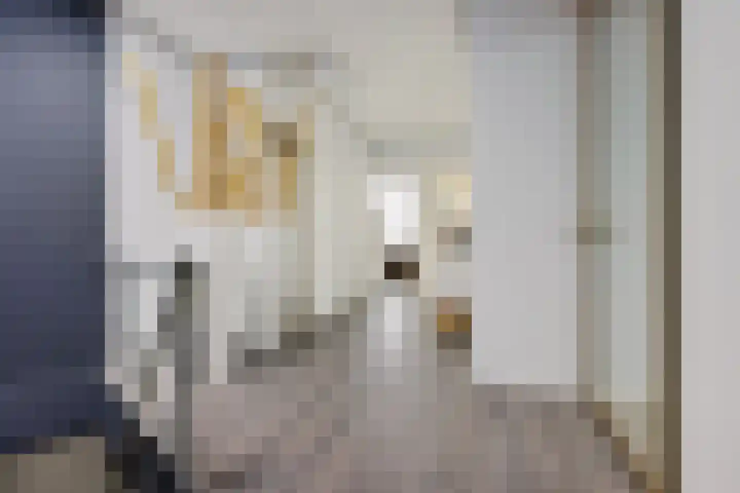 Nijverheidsweg 20 Assen thumbnail 53