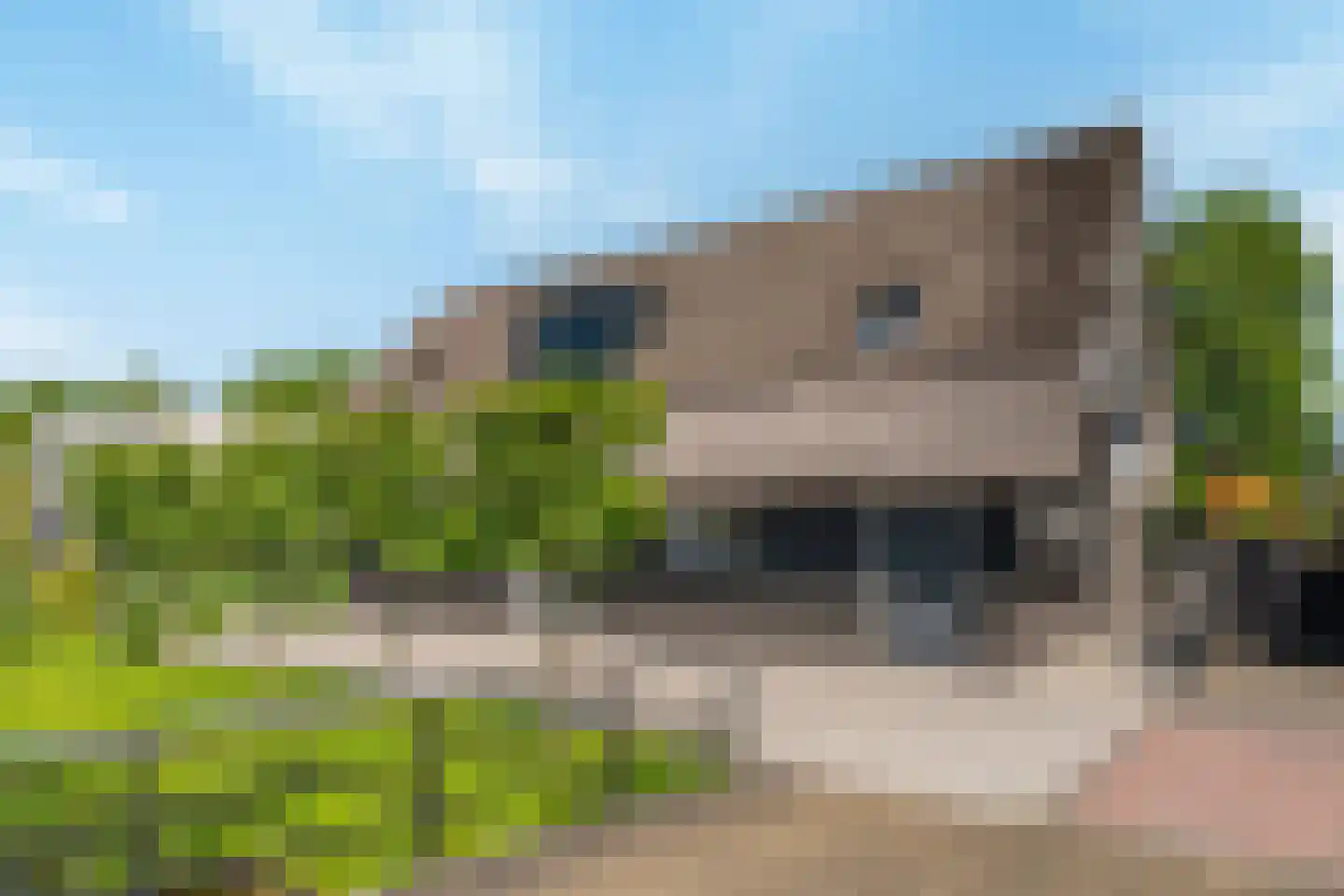 Nijverheidsweg 26 Rhoon thumbnail 10