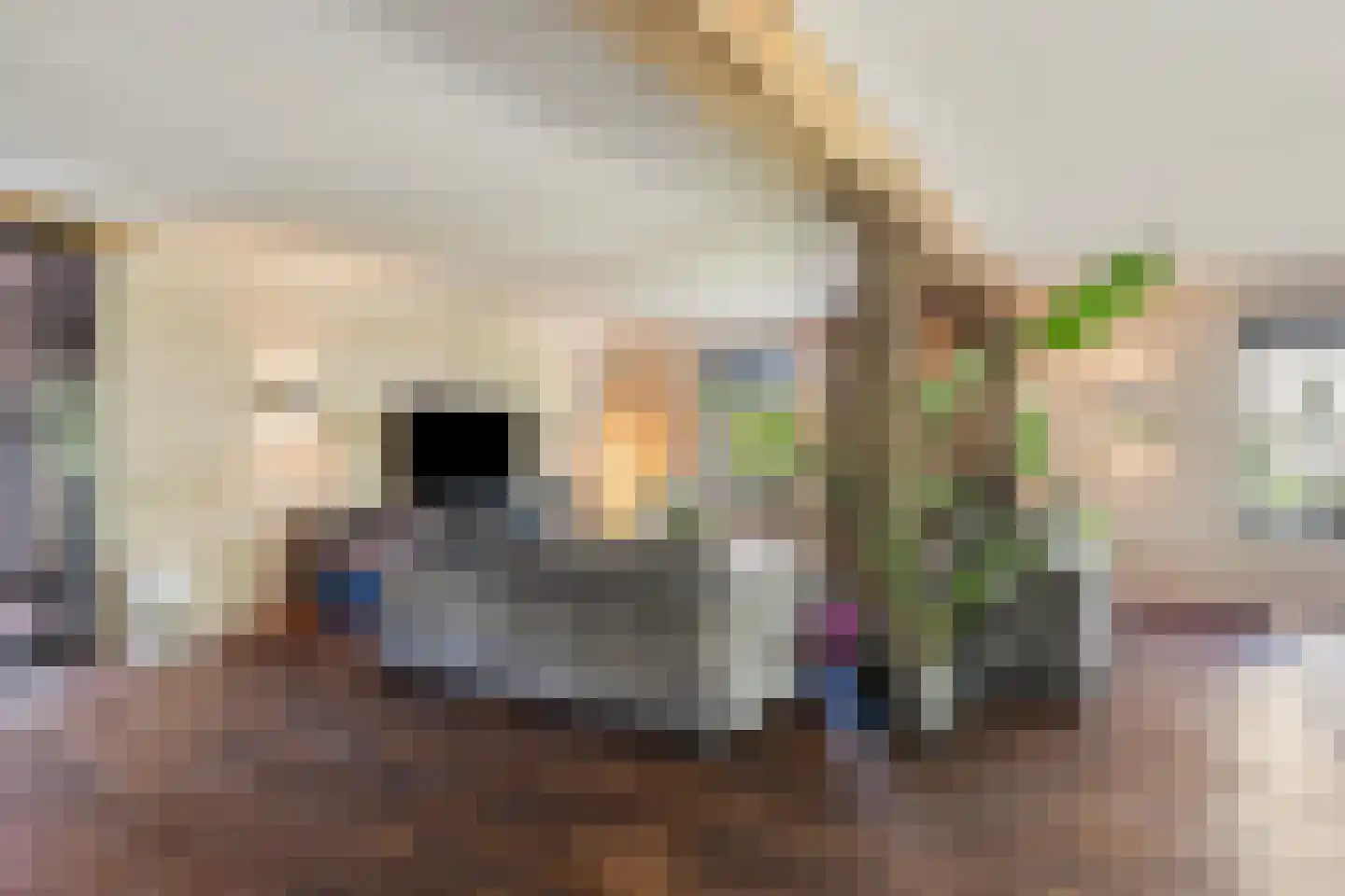 Nijverheidsweg 26 Rhoon thumbnail 17