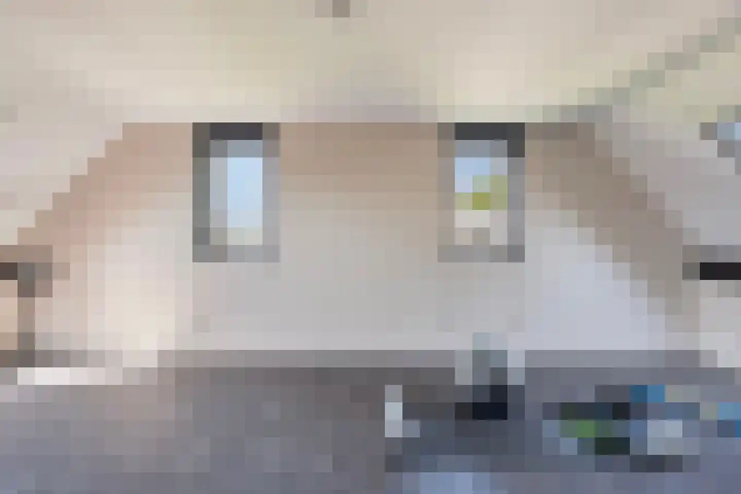 Nijverheidsweg 26 Rhoon thumbnail 45