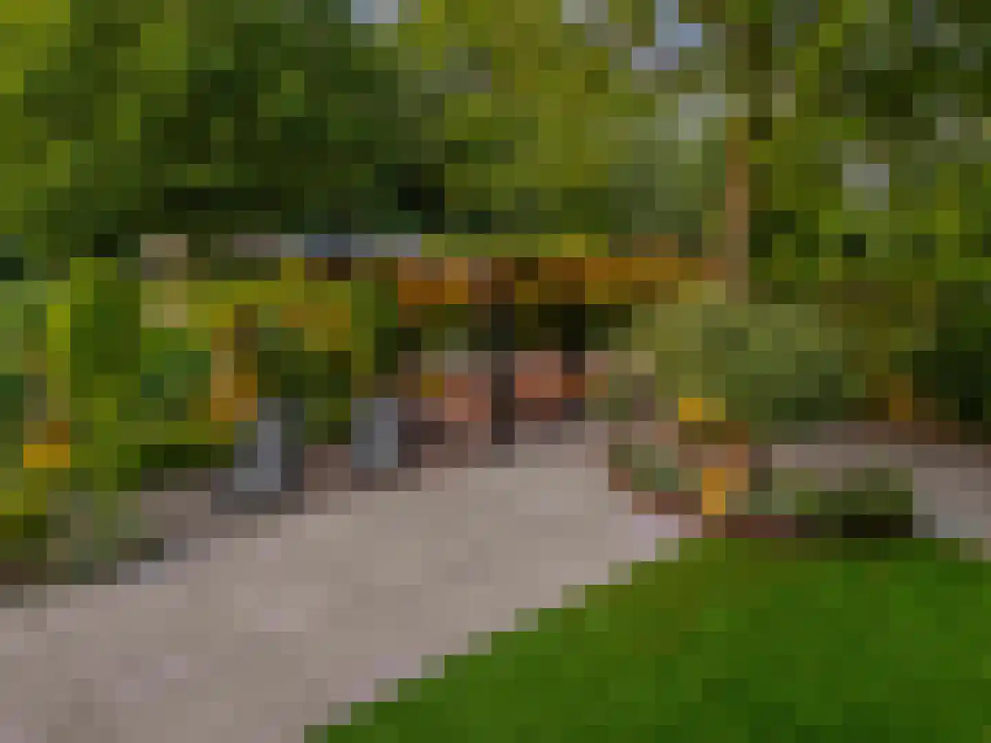 Nijverheidsweg 26 Rhoon thumbnail 56