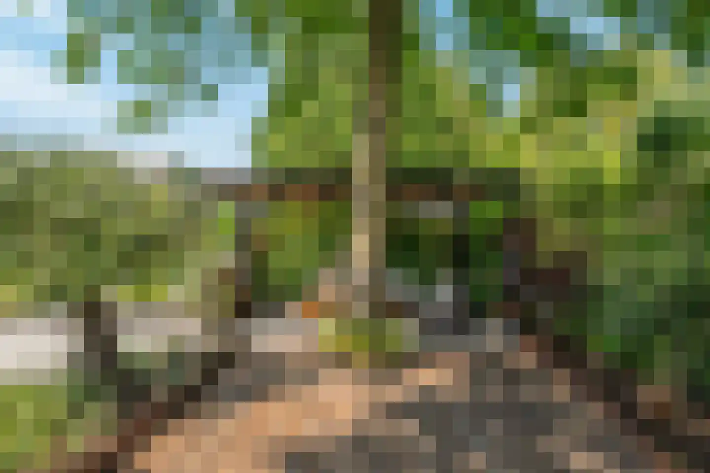 Nijverheidsweg 26 Rhoon thumbnail 57