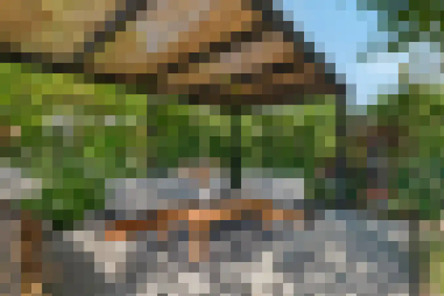 Nijverheidsweg 26 Rhoon thumbnail 58
